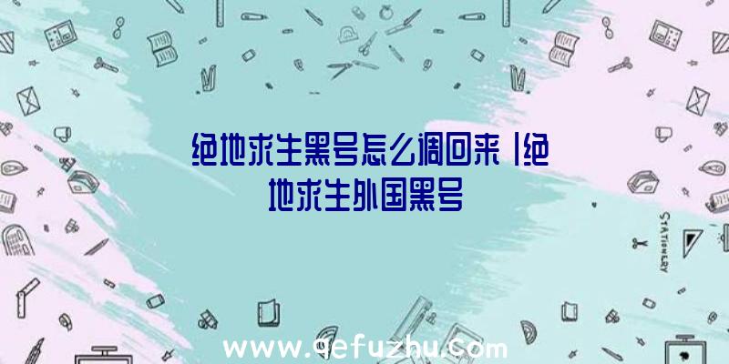 「绝地求生黑号怎么调回来」|绝地求生外国黑号